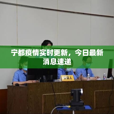 宁都疫情实时更新，今日最新消息速递