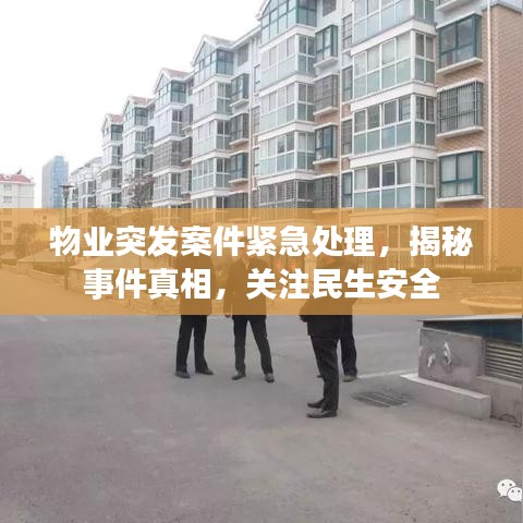 物业突发案件紧急处理，揭秘事件真相，关注民生安全