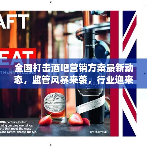 全国打击酒吧营销方案最新动态，监管风暴来袭，行业迎来大变革