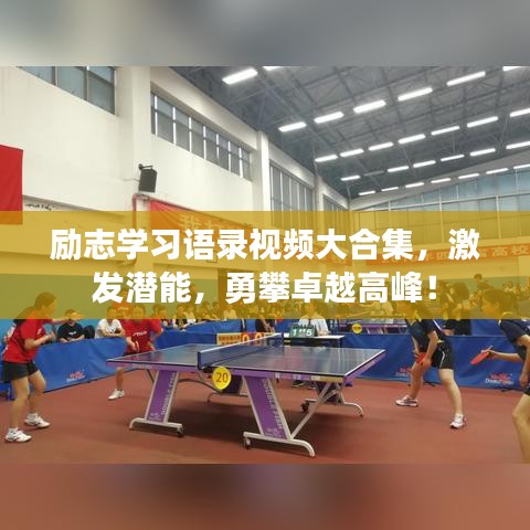 励志学习语录视频大合集，激发潜能，勇攀卓越高峰！