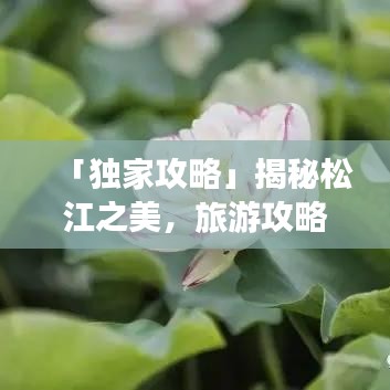 「独家攻略」揭秘松江之美，旅游攻略图助你畅游胜地！