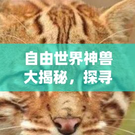 自由世界神兽大揭秘，探寻神秘力量的巅峰排名！