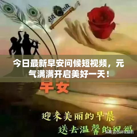 今日最新早安问候短视频，元气满满开启美好一天！