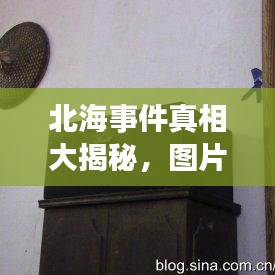 北海事件真相大揭秘，图片证据曝光！