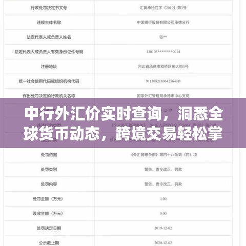 中行外汇价实时查询，洞悉全球货币动态，跨境交易轻松掌握