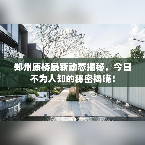 郑州康桥最新动态揭秘，今日不为人知的秘密揭晓！