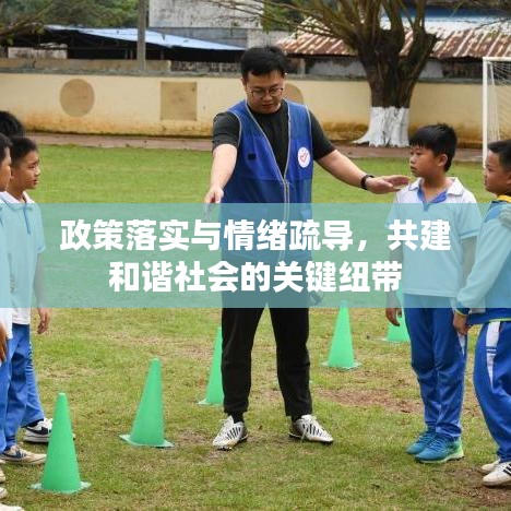政策落实与情绪疏导，共建和谐社会的关键纽带