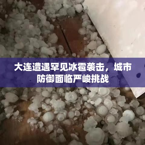 大连遭遇罕见冰雹袭击，城市防御面临严峻挑战