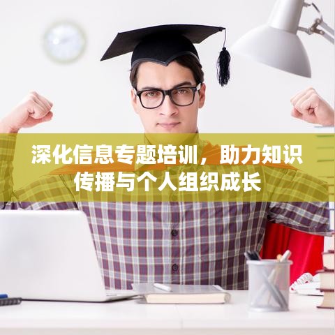 深化信息专题培训，助力知识传播与个人组织成长