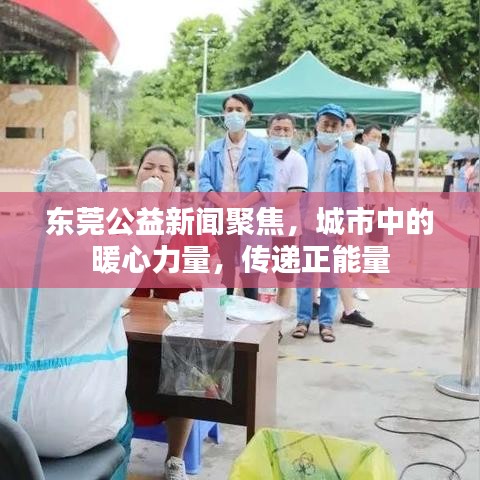 东莞公益新闻聚焦，城市中的暖心力量，传递正能量