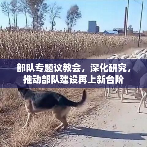学贵有疑 第2页