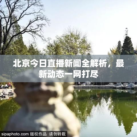北京今日直播新闻全解析，最新动态一网打尽