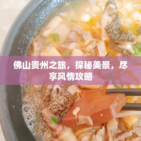佛山贵州之旅，探秘美景，尽享风情攻略