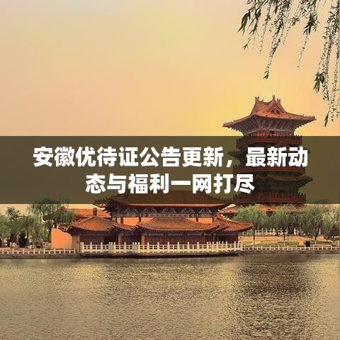 安徽优待证公告更新，最新动态与福利一网打尽