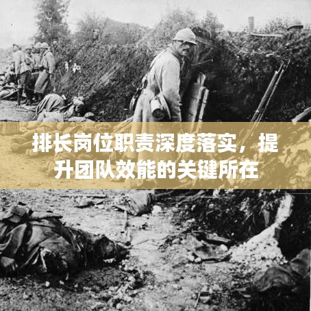 排长岗位职责深度落实，提升团队效能的关键所在