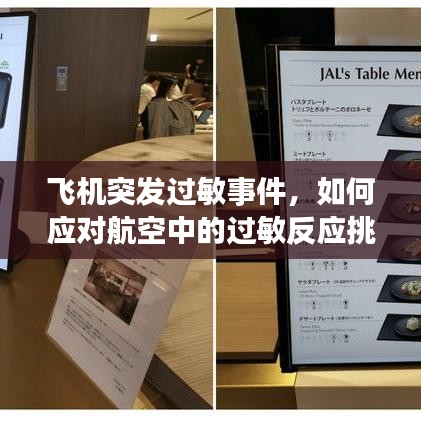 飞机突发过敏事件，如何应对航空中的过敏反应挑战