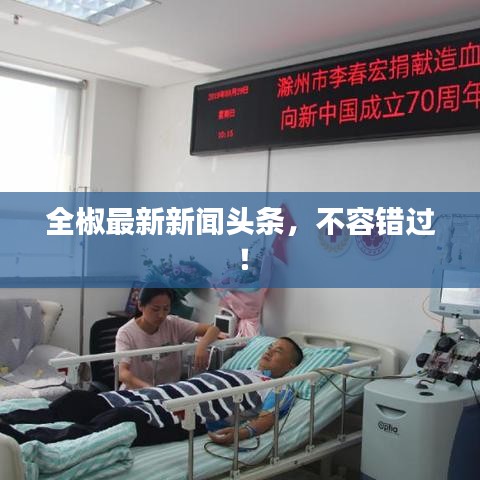 全椒最新新闻头条，不容错过！