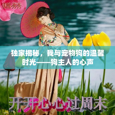 独家揭秘，我与宠物狗的温馨时光——狗主人的心声