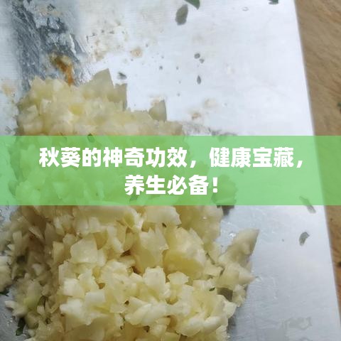 秋葵的神奇功效，健康宝藏，养生必备！