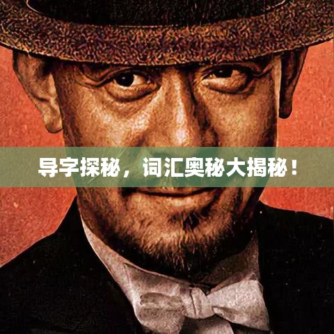 导字探秘，词汇奥秘大揭秘！