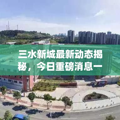 三水新城最新动态揭秘，今日重磅消息一览