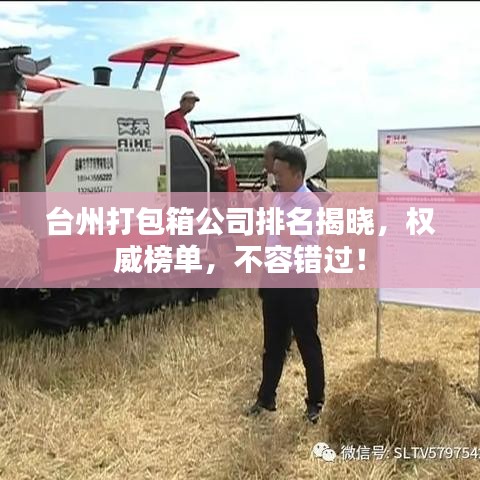 台州打包箱公司排名揭晓，权威榜单，不容错过！