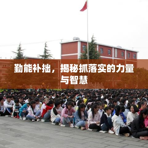 勤能补拙，揭秘抓落实的力量与智慧
