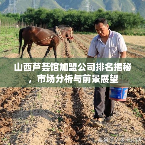 山西芦荟馆加盟公司排名揭秘，市场分析与前景展望