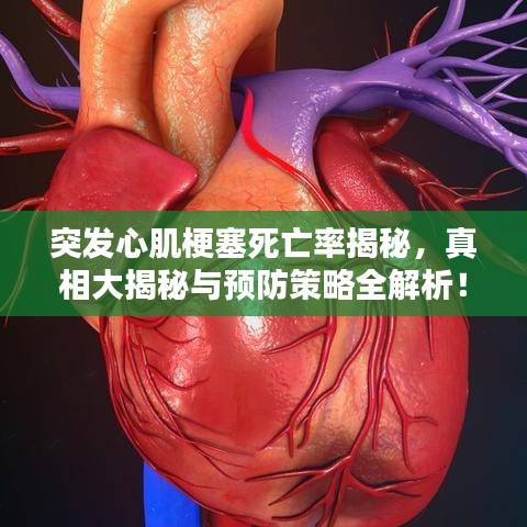 突发心肌梗塞死亡率揭秘，真相大揭秘与预防策略全解析！
