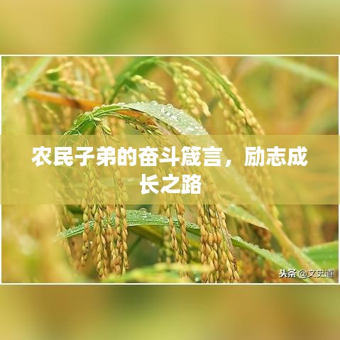 农民子弟的奋斗箴言，励志成长之路