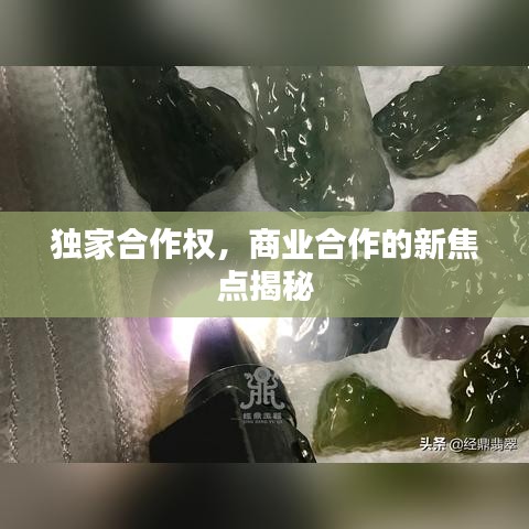 独家合作权，商业合作的新焦点揭秘
