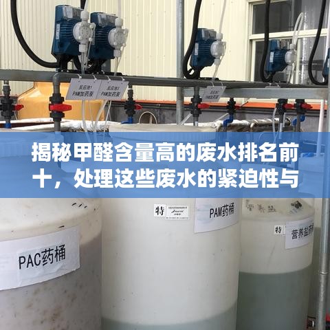 笨鸟先飞 第2页