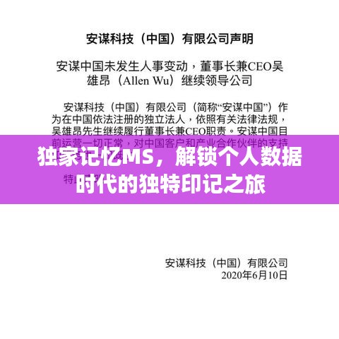 独家记忆MS，解锁个人数据时代的独特印记之旅
