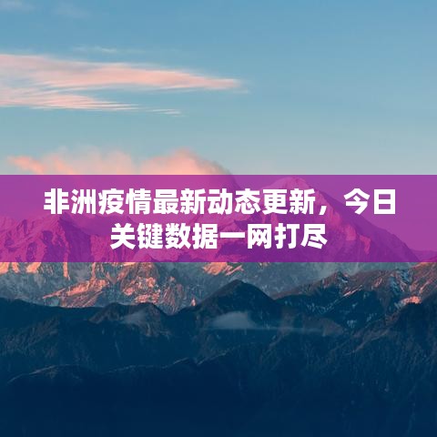 非洲疫情最新动态更新，今日关键数据一网打尽