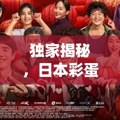 独家揭秘，日本彩蛋背后的神秘面纱
