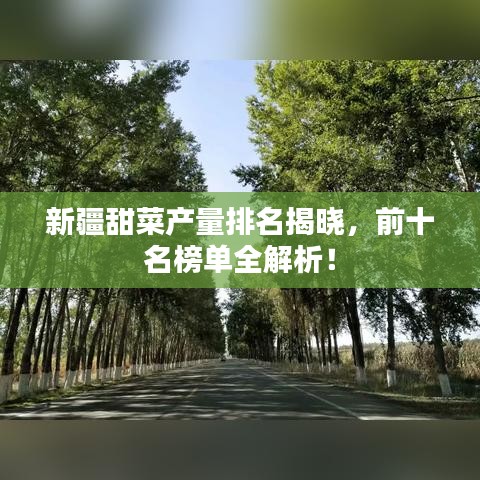 删华就素 第2页