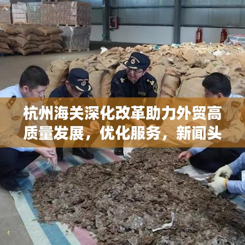 杭州海关深化改革助力外贸高质量发展，优化服务，新闻头条抢先看