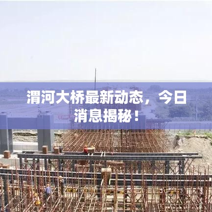 渭河大桥最新动态，今日消息揭秘！