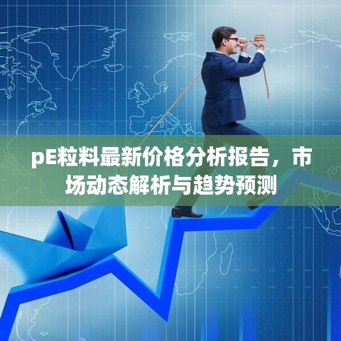 pE粒料最新价格分析报告，市场动态解析与趋势预测