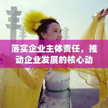 落实企业主体责任，推动企业发展的核心动力源泉