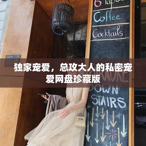独家宠爱，总攻大人的私密宠爱网盘珍藏版