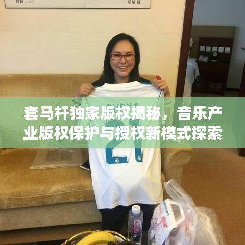 套马杆独家版权揭秘，音乐产业版权保护与授权新模式探索