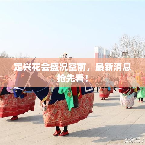 定兴花会盛况空前，最新消息抢先看！