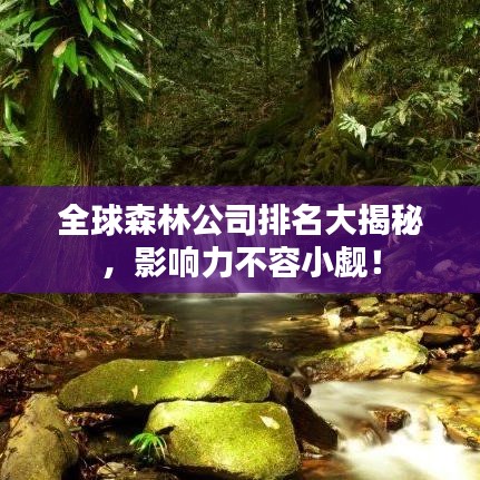 全球森林公司排名大揭秘，影响力不容小觑！
