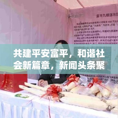 共建平安富平，和谐社会新篇章，新闻头条聚焦富平发展