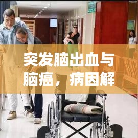 突发脑出血与脑癌，病因解析及防治策略探究