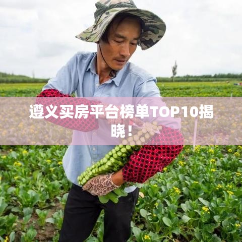 遵义买房平台榜单TOP10揭晓！