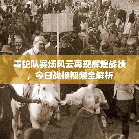 毒蛇队赛场风云再现辉煌战绩，今日战报视频全解析