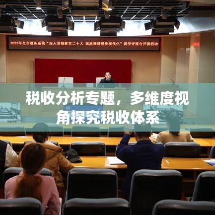税收分析专题，多维度视角探究税收体系