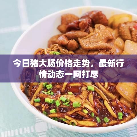 今日猪大肠价格走势，最新行情动态一网打尽